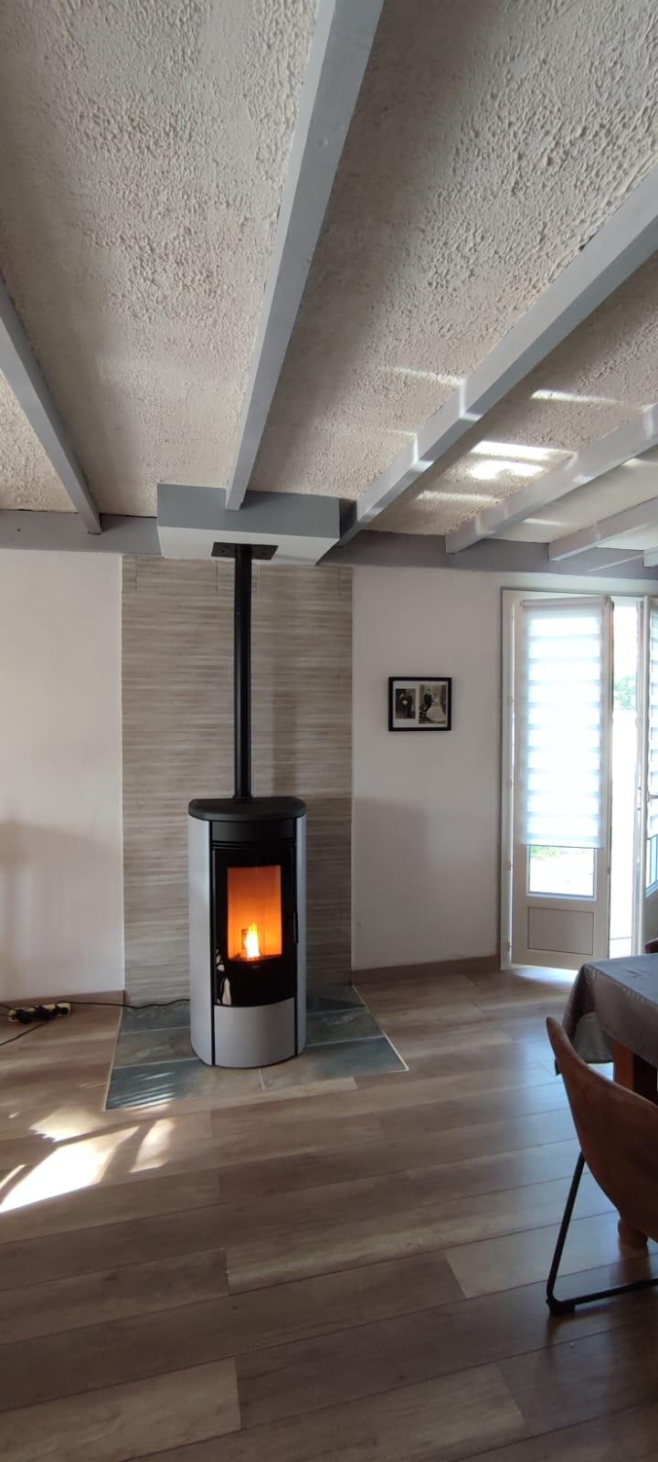 Oblo gris Laverde.JPG